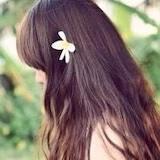 那年微风吹过的夏天