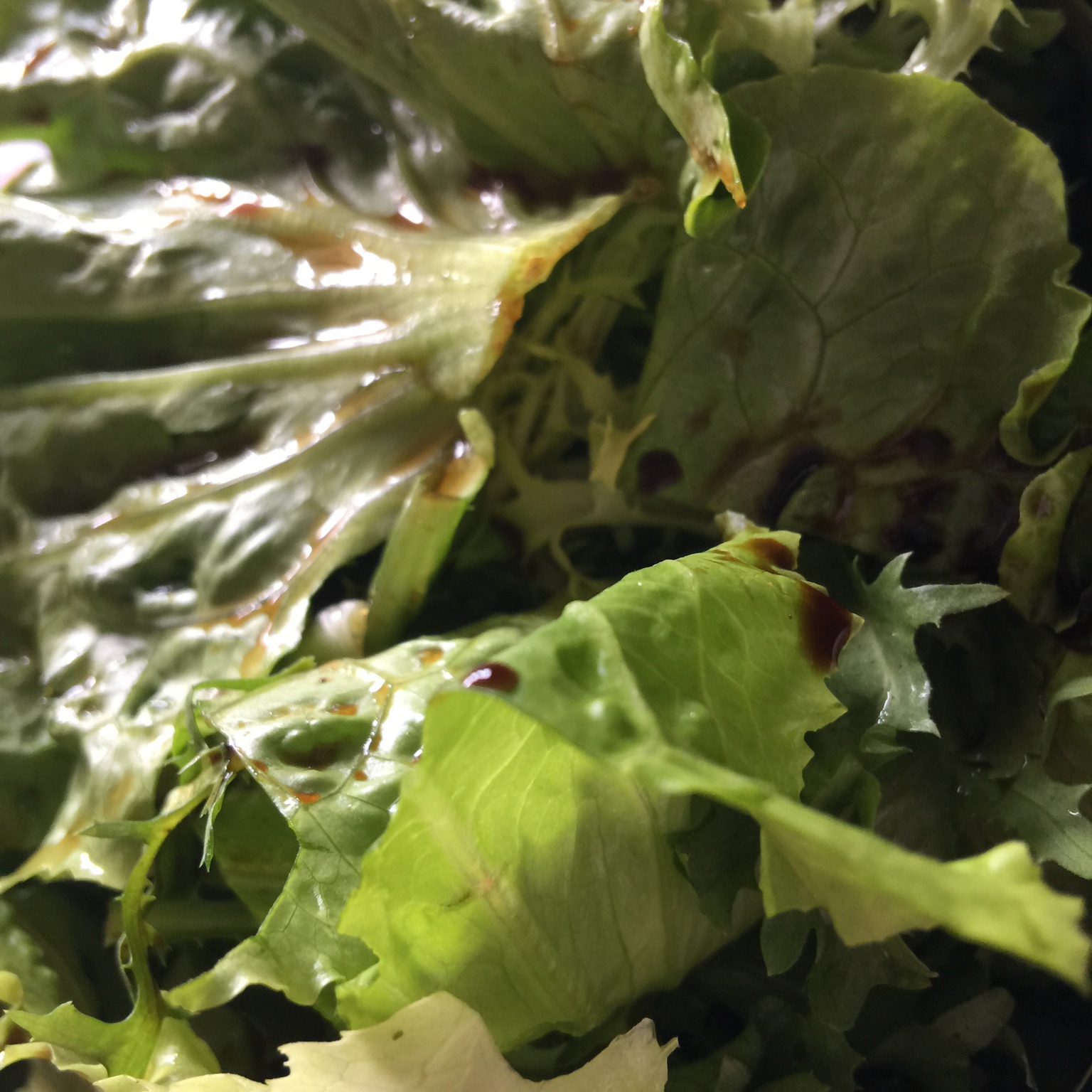 jamie oliver的生菜沙拉