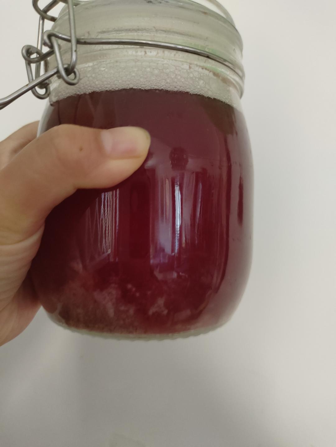 🍇葡萄酒自酿🍇留住夏天的味道