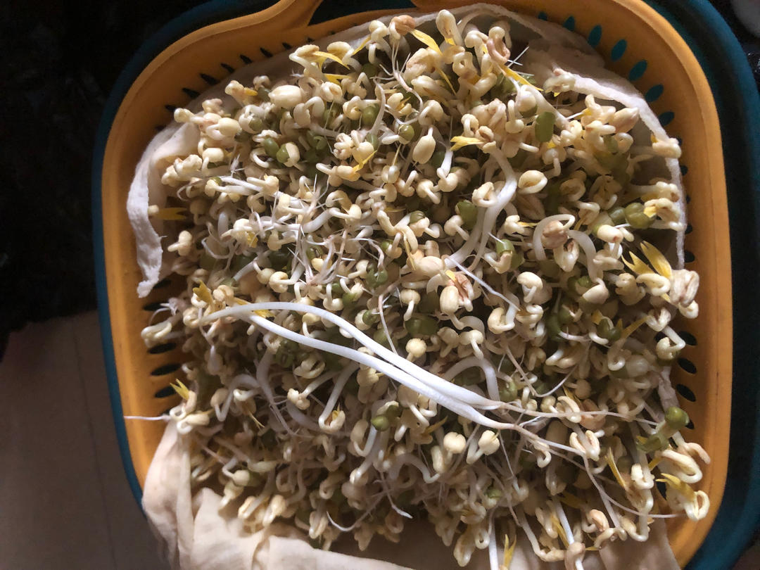 绿豆芽自制的健康