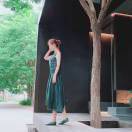 燕儿飞去来