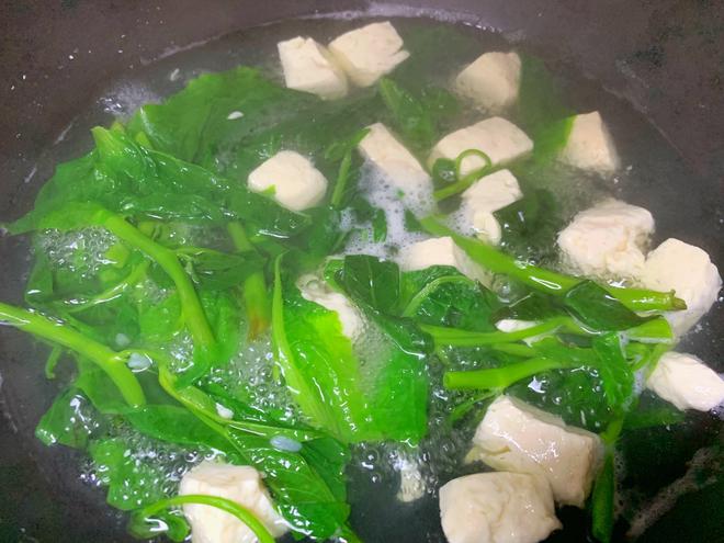 零基础小白都能轻松快手做的超清淡青菜豆腐汤的做法