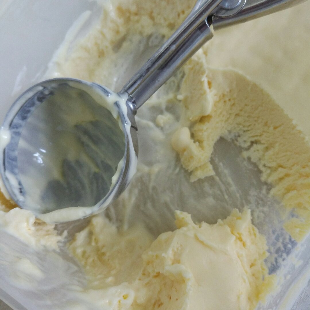朗姆黑加仑冰淇淋 Rum Raisin Ice cream