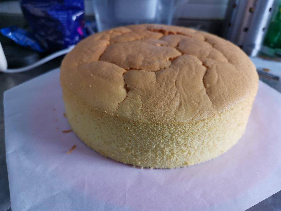 简易蛋糕(胚），拯救屡败星人（8寸）