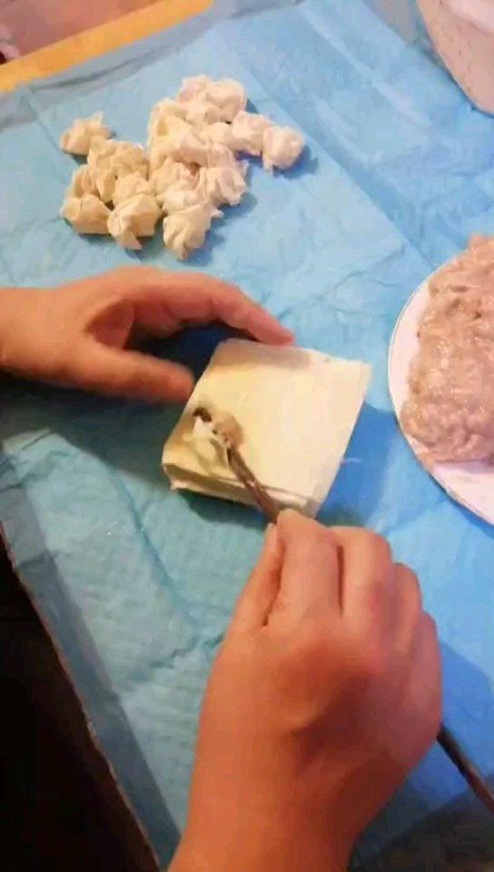 【绉纱馄饨】史上最精致、讲究的小馄炖！