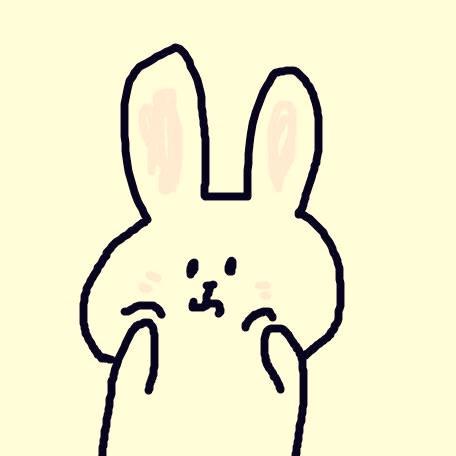 敲键盘的猫