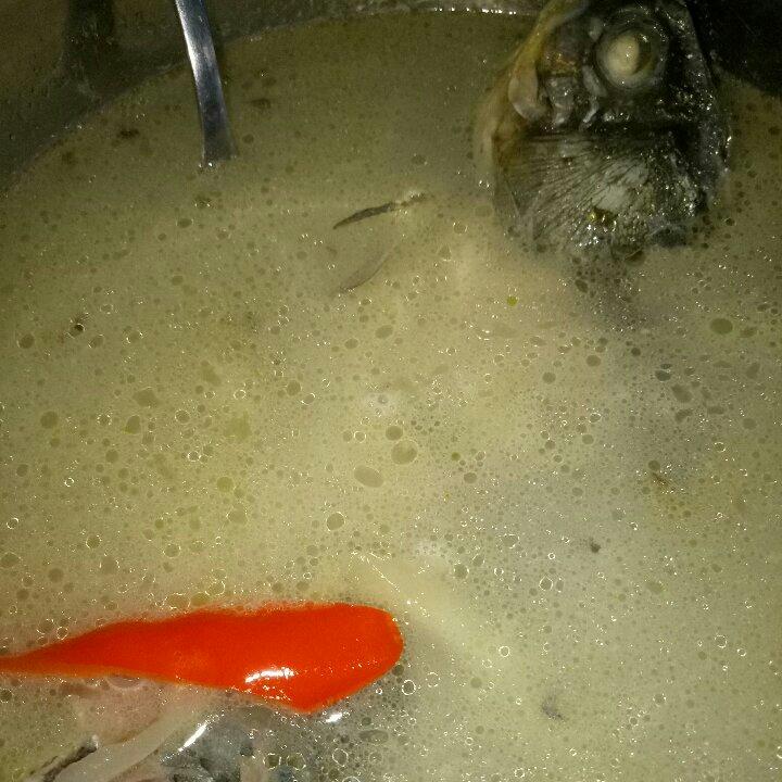 番茄鲫鱼汤