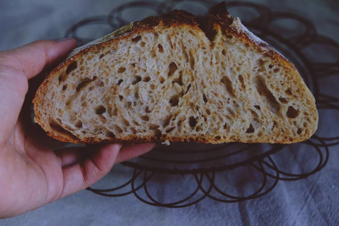 【Tartine Bread】天然酵种基础乡村欧包