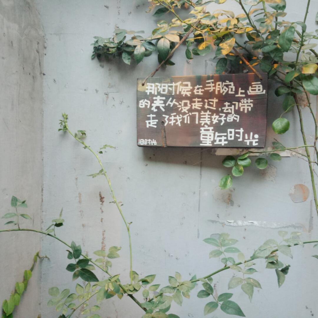 钟爱一生兰