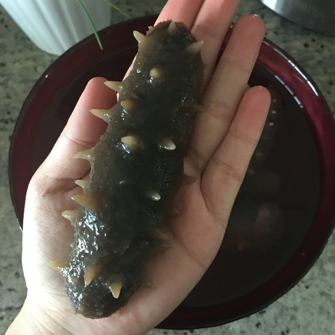 海参泡发攻略