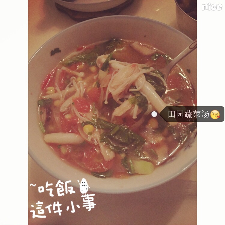 田园蔬菜汤