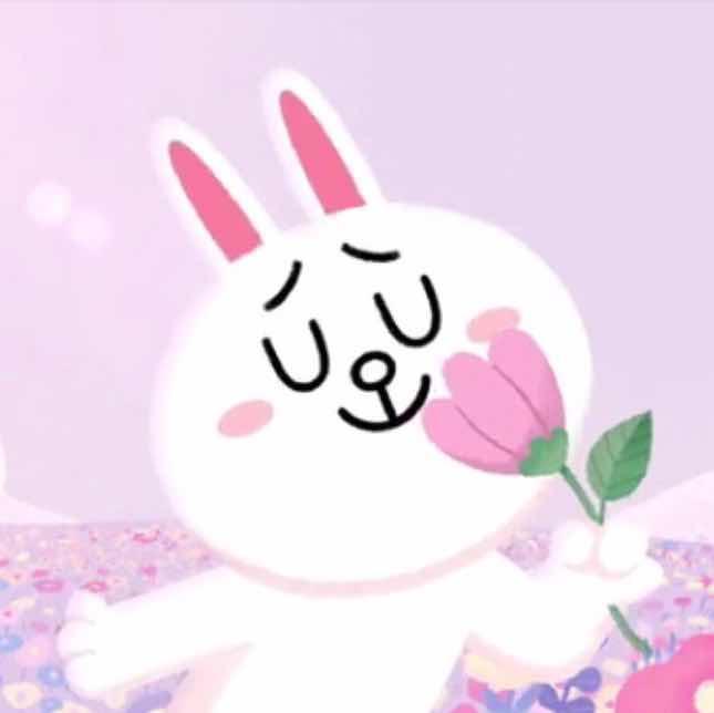 爱生活的小鱼儿的小兔子
