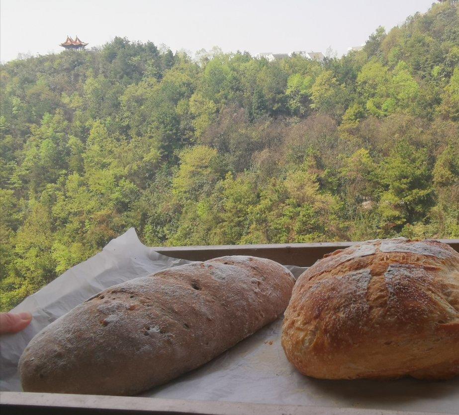 给减肥瘦身党  无糖无油全麦面包（免揉懒人版）