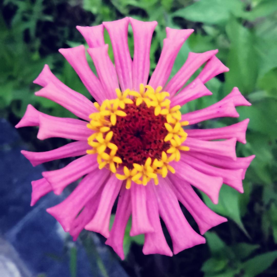 歪理邪说_小雯子