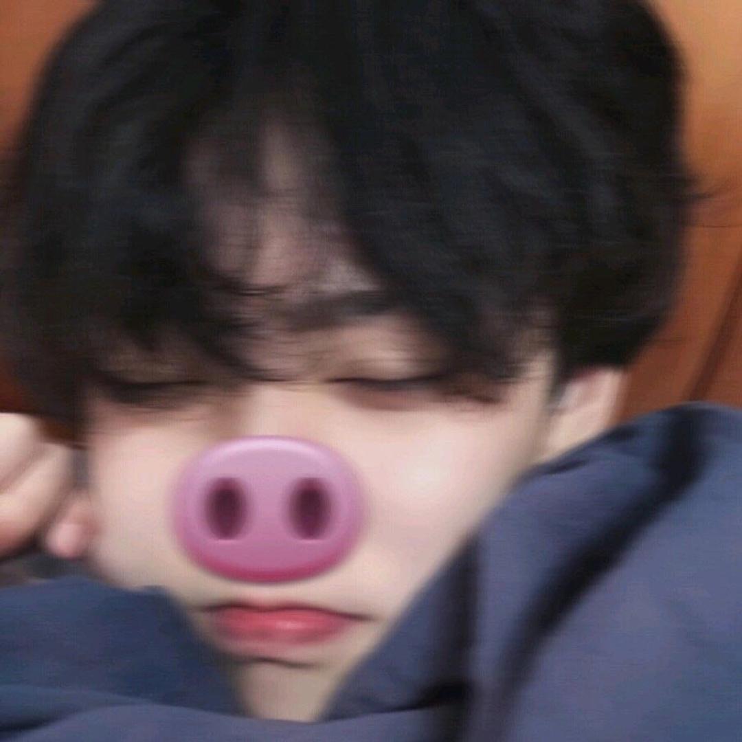 狗花啊