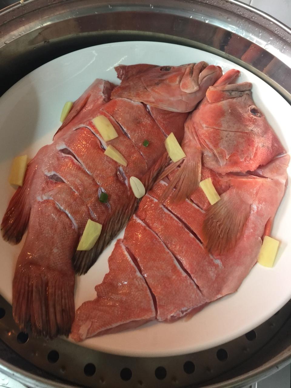 红瓜子斑鱼（深海鱼）的做法 步骤7