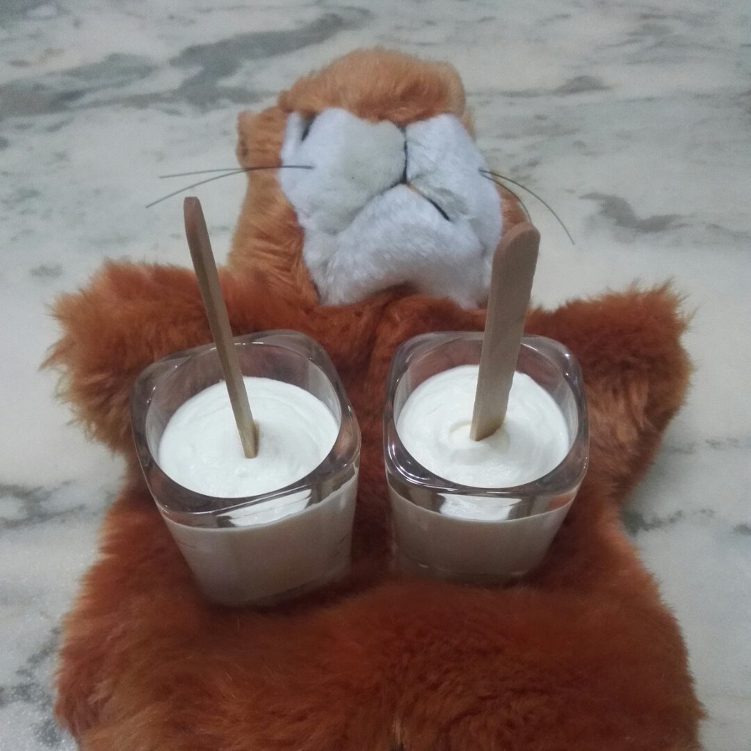 香草芭菲冰淇淋
（不搅拌无冰渣）