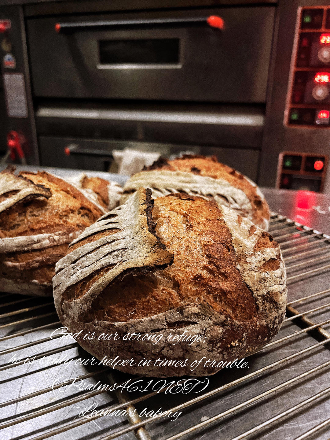 全麦乡村欧包⭕️整形