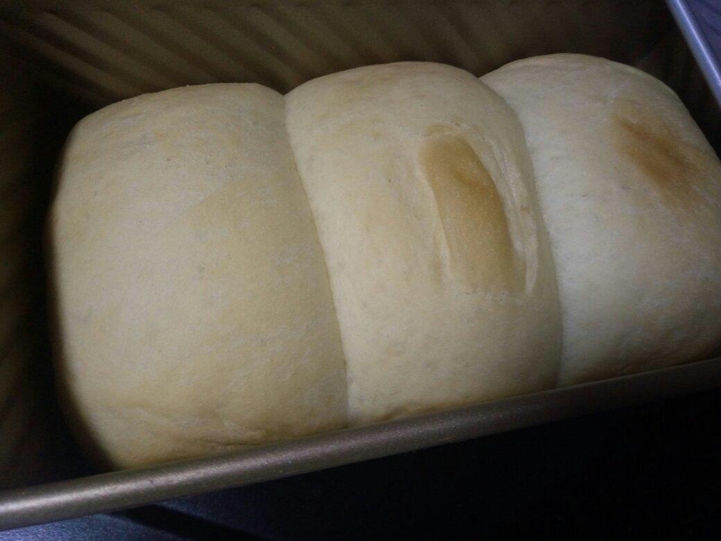 夺命软吐司(๑´ڡ`๑)超软拉丝极速方便的一次发酵吐司