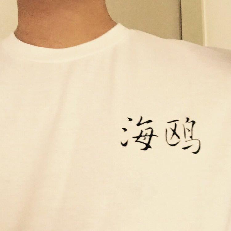 一只做菜的海鸥