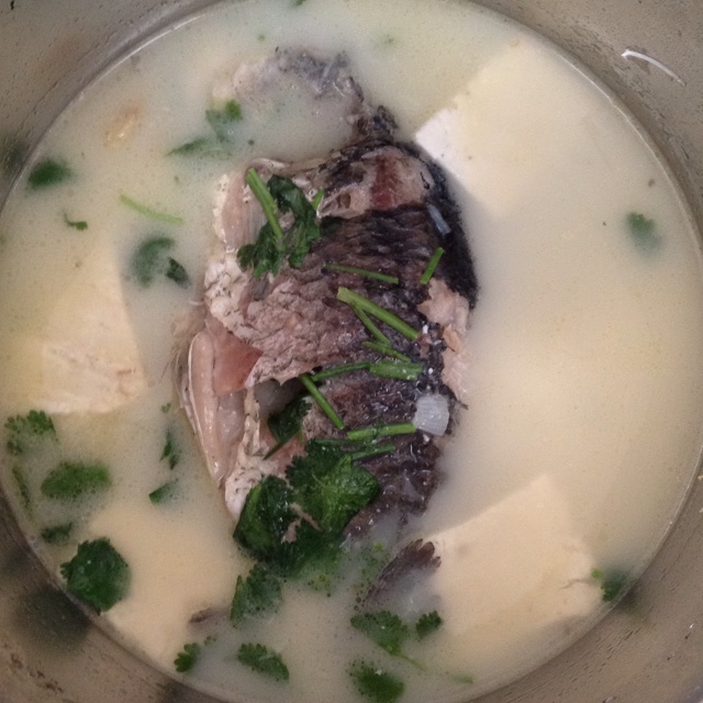 奶白鲫鱼豆腐汤