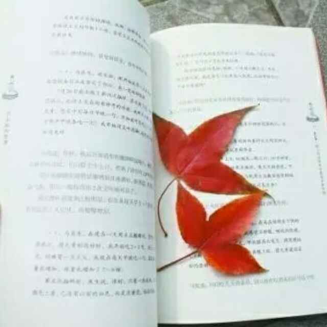 水不