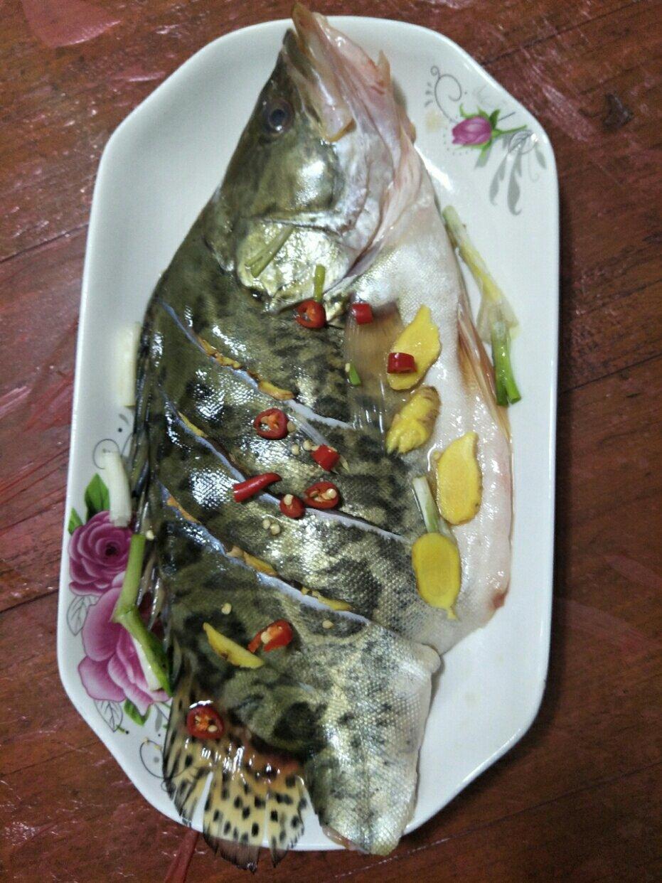清蒸桂鱼