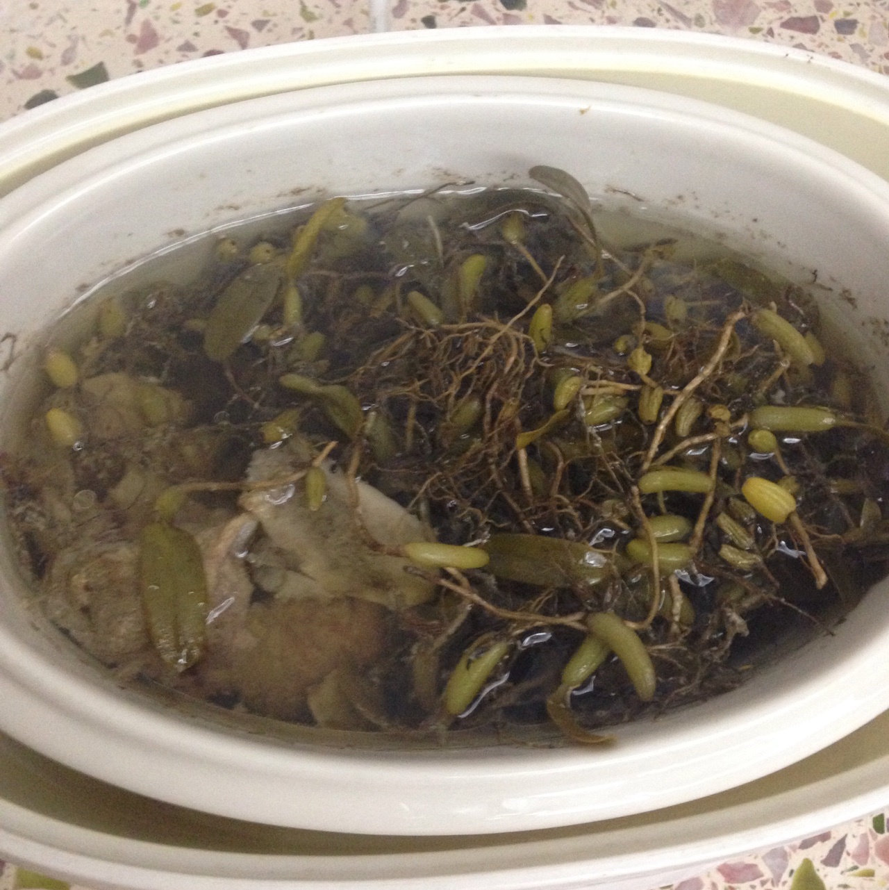 石橄榄草煲龙骨汤