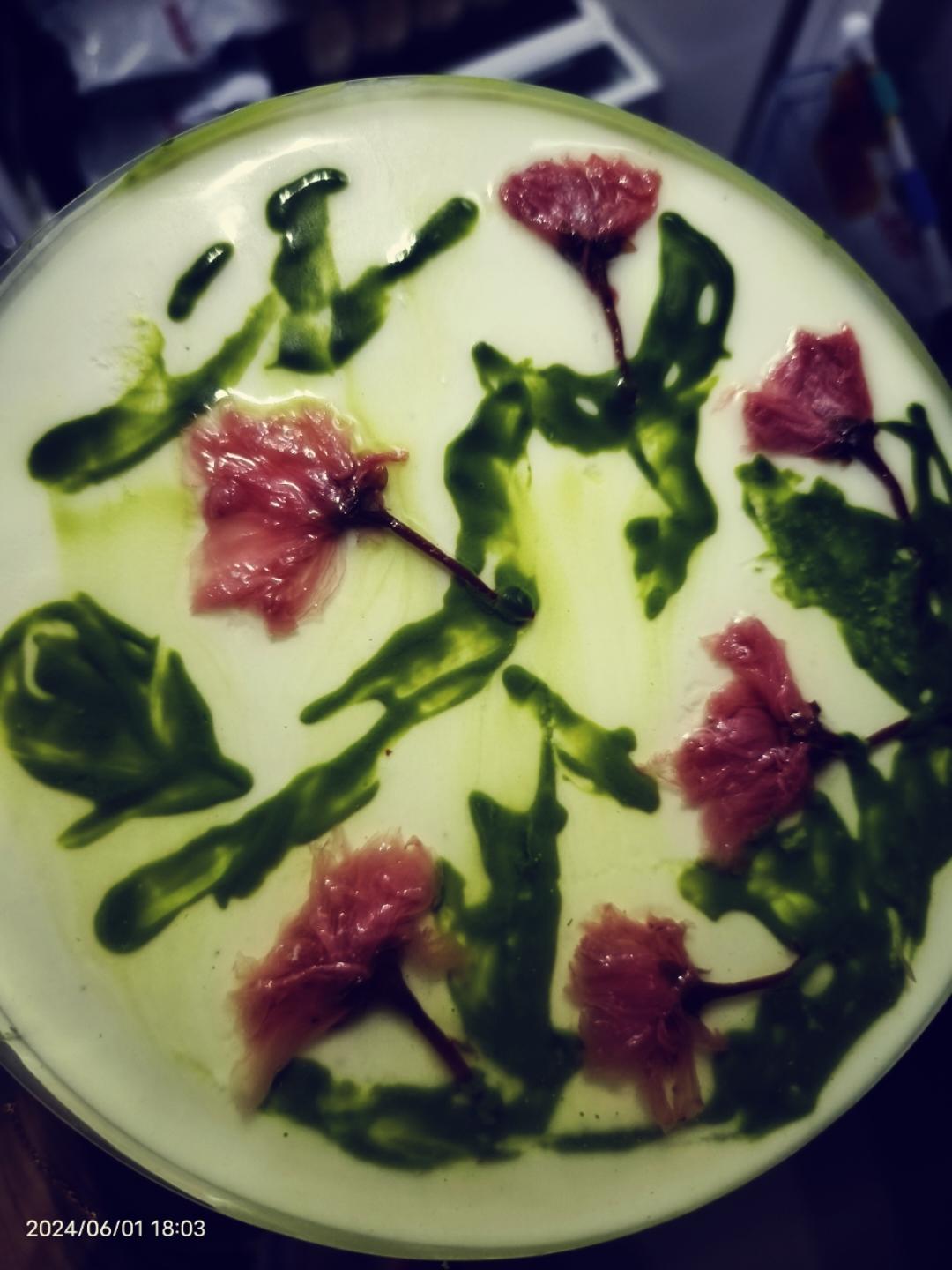 不凹底不塌陷的完美戚风蛋糕