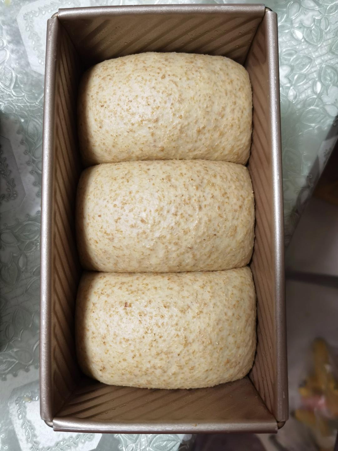 波兰种全麦吐司（40%全麦）