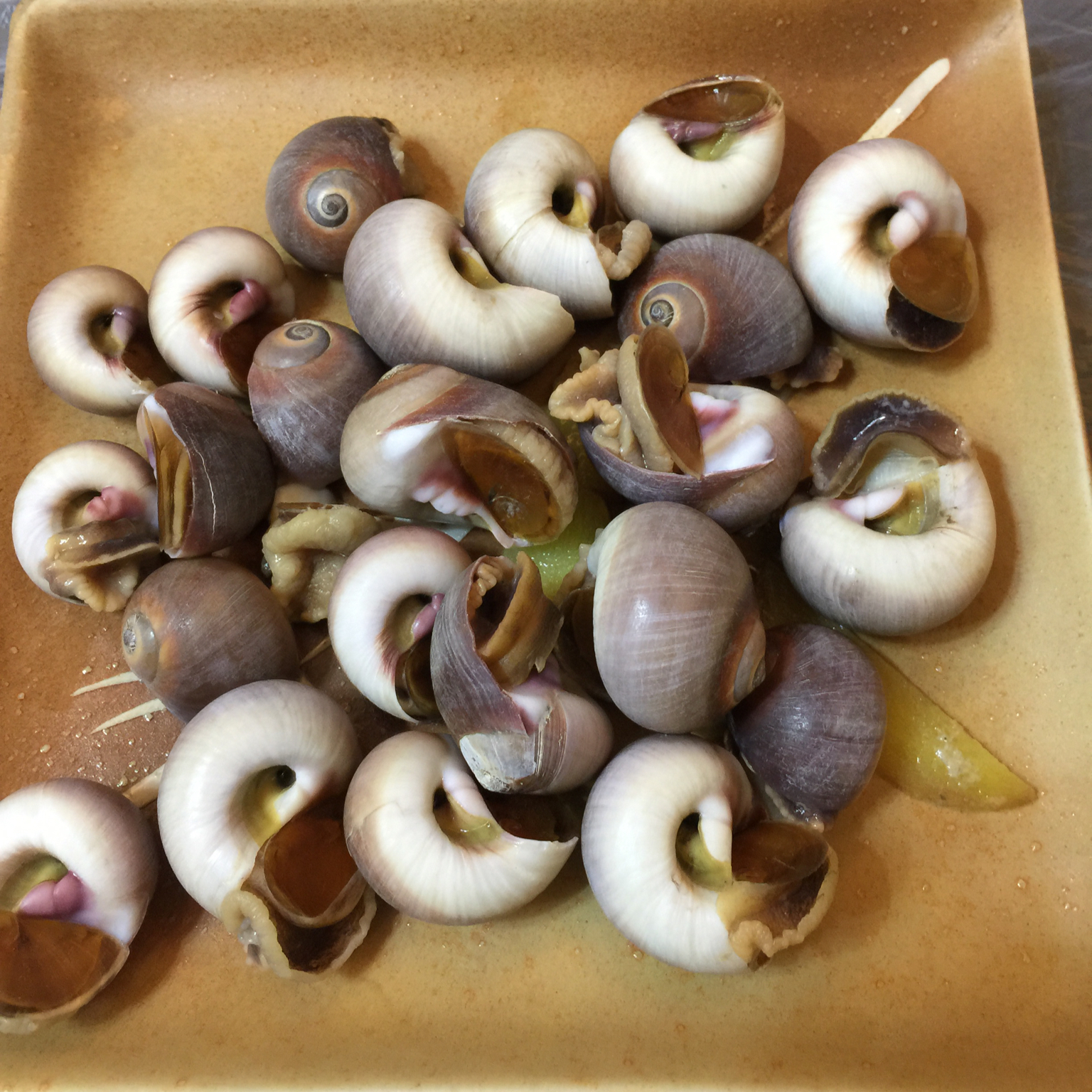 朵麻每日晚餐记录