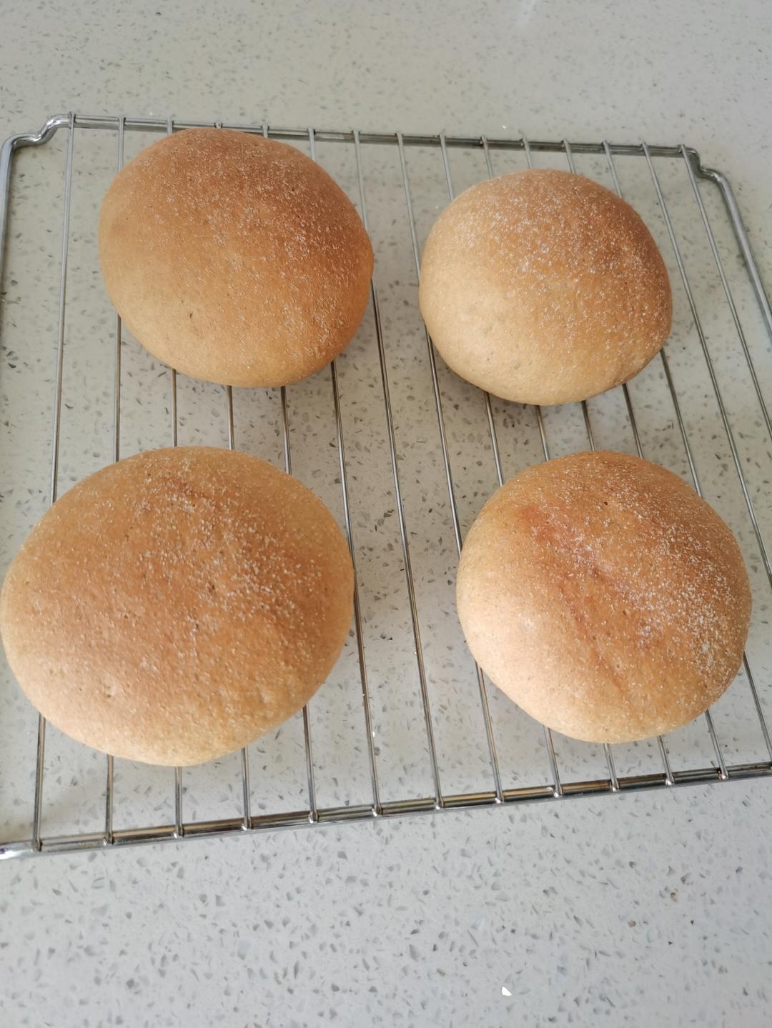 全麦麦满分饼胚  100%全麦