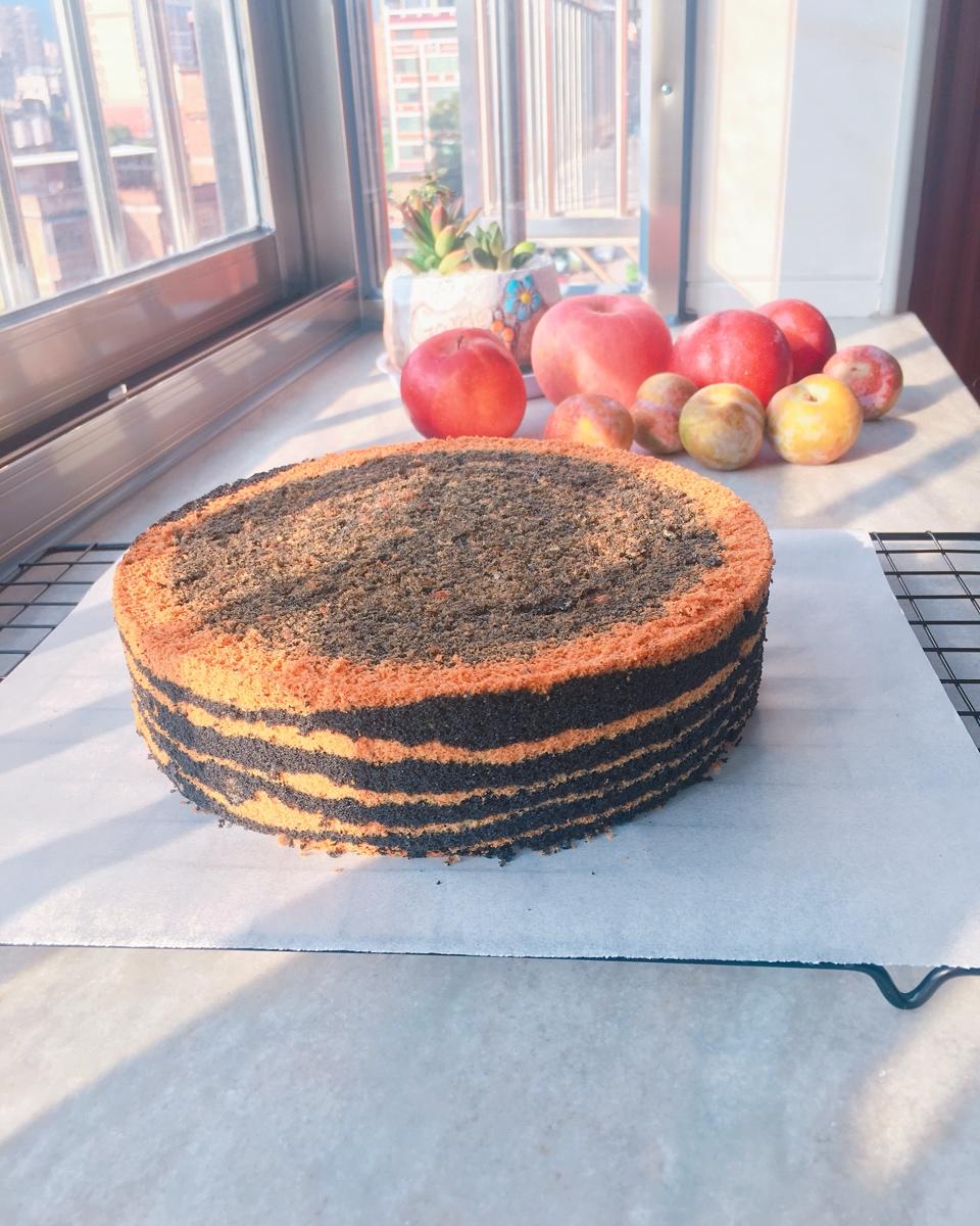 八寸戚风的成长记录