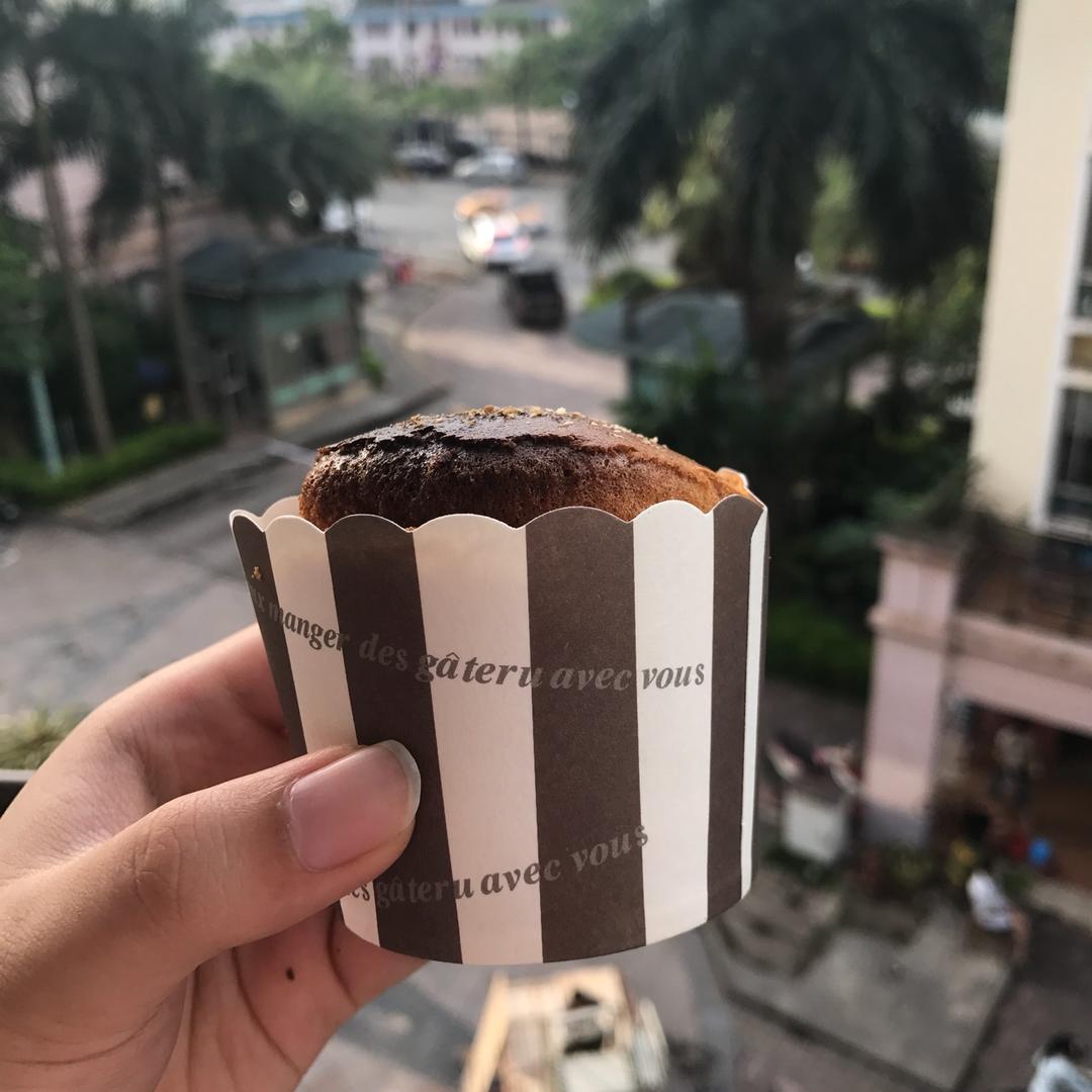 不回缩杯子蛋糕cupcake