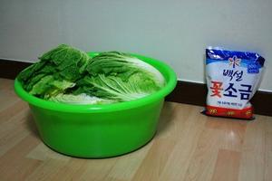 来自韩国媳妇的正宗韩式泡菜腌制方法~~的做法 步骤4