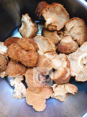 养胃利器—猴头菇粉的做法 步骤1