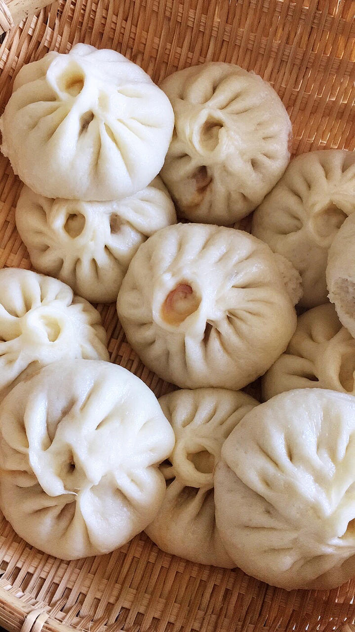 包子饺子万能基底肉馅
