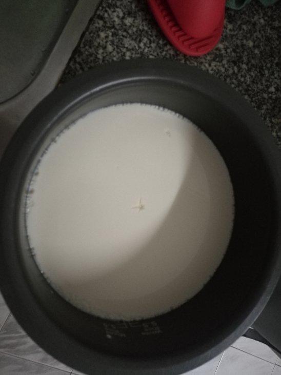 内脂版豆腐花（成功率超高）