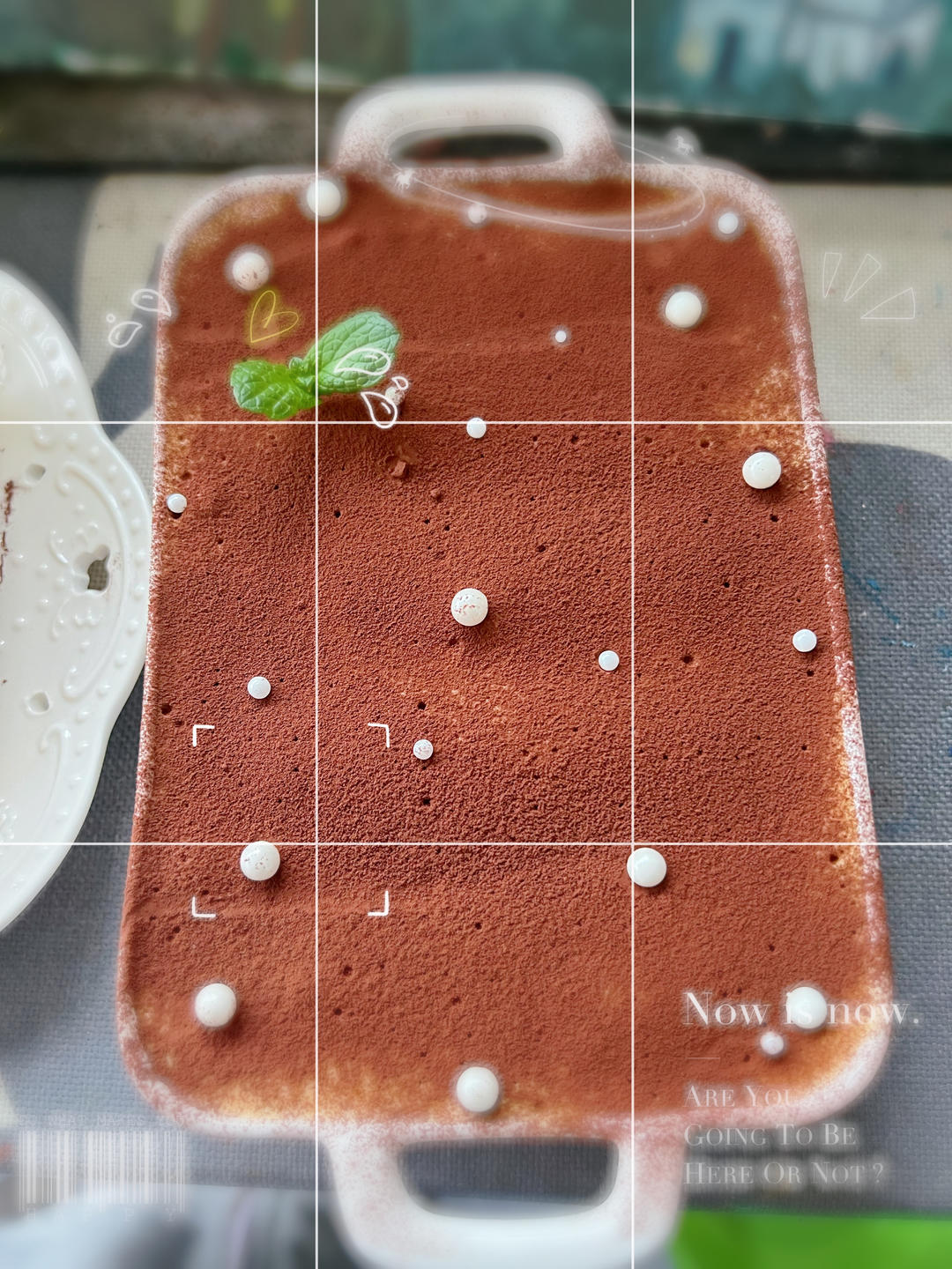 在欧洲学会的经典版提拉米苏