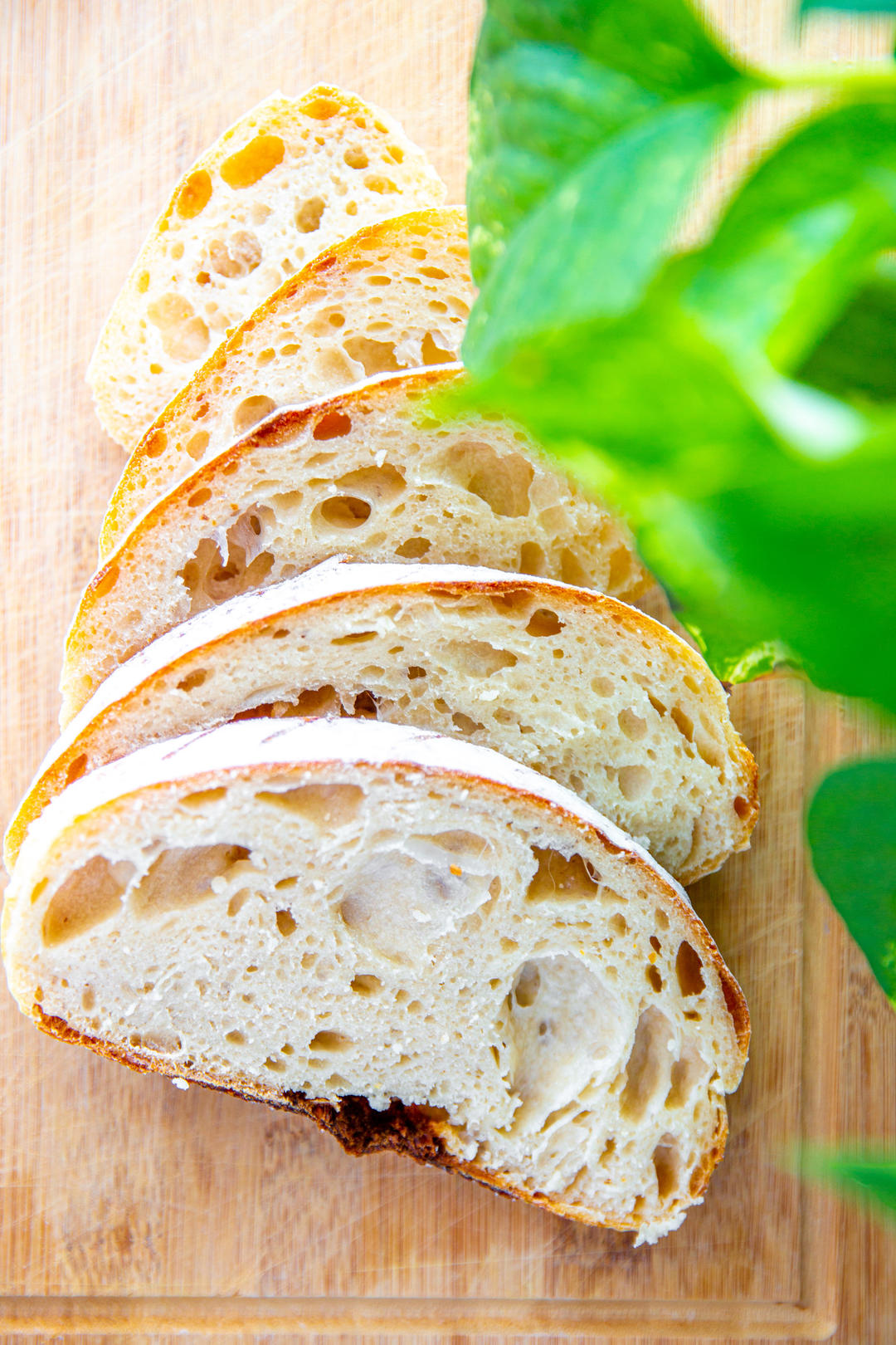 基本酸面团面包(Basic Sourdough Bread)