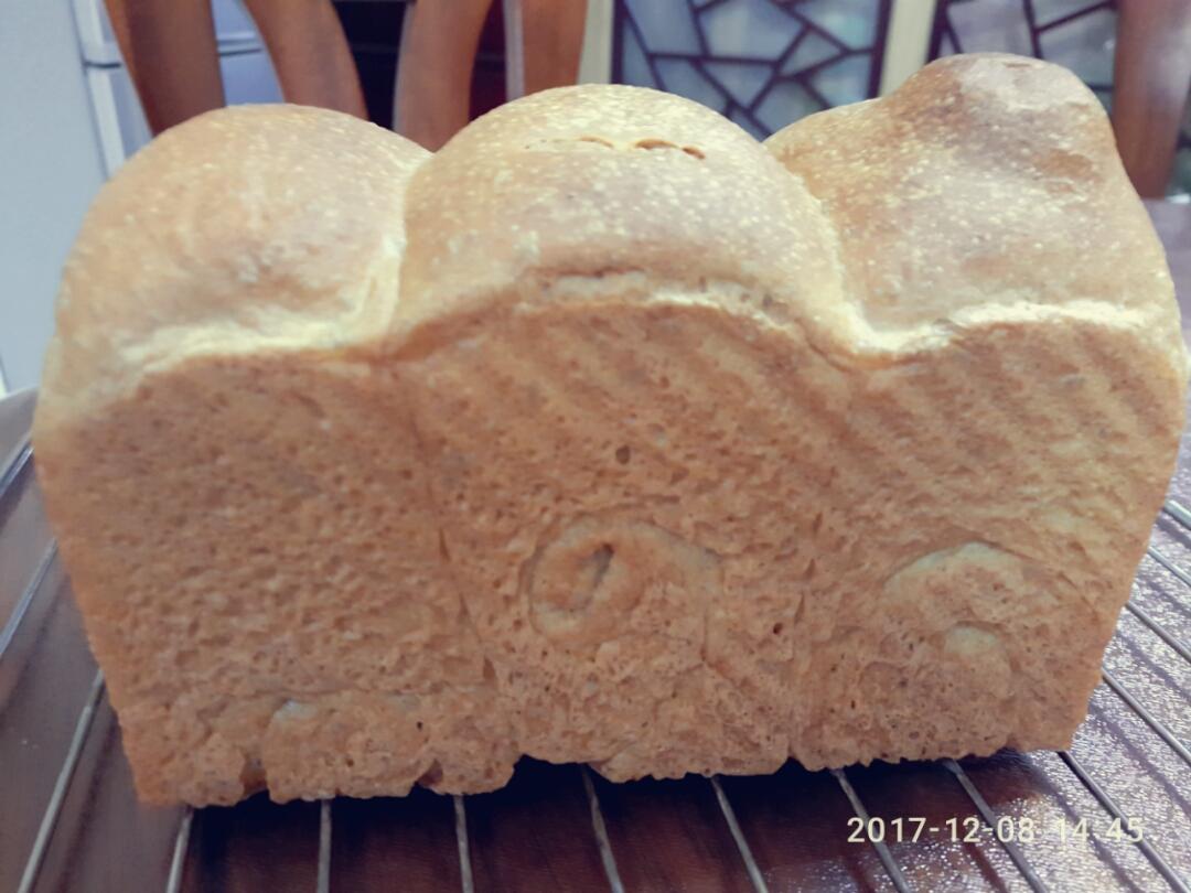 波兰种(Poolish种）全麦吐司
