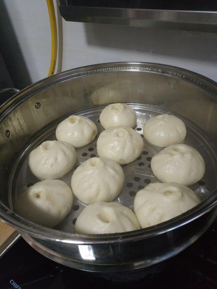 猪肉包子（附视频。一次性发酵。）