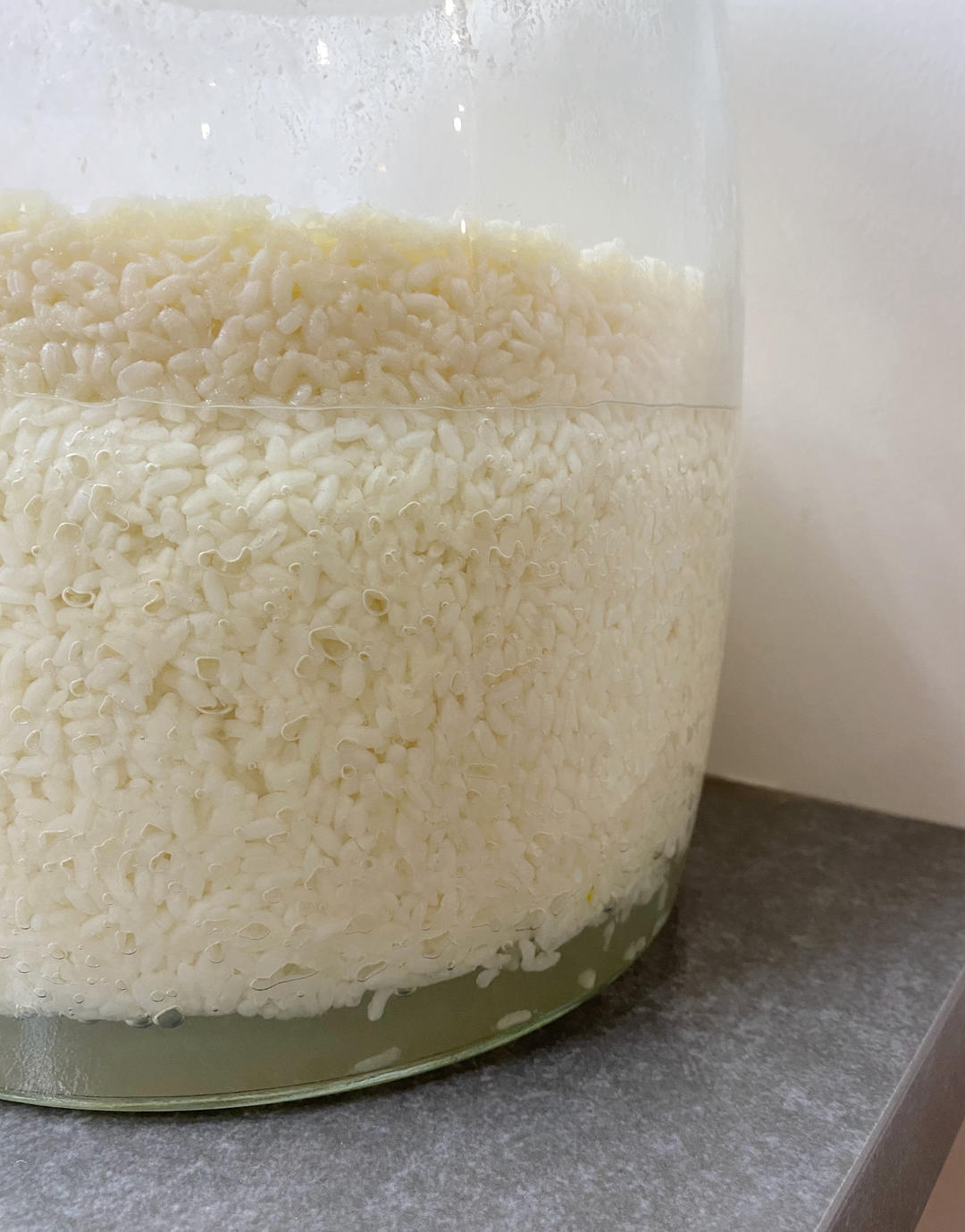 零失败糯米酒（甜酒，醪糟）