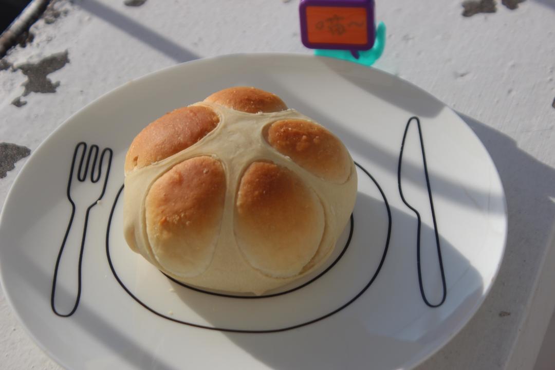 猫爪椰蓉面包——欧克皮的简单装饰