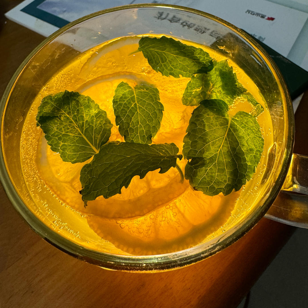 自制❗️鸡尾酒Mojito莫吉托
