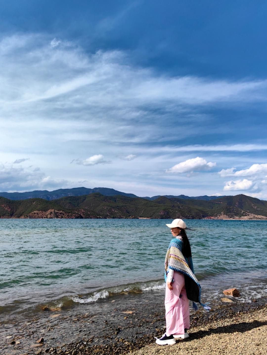 爱毛孩的田菇凉