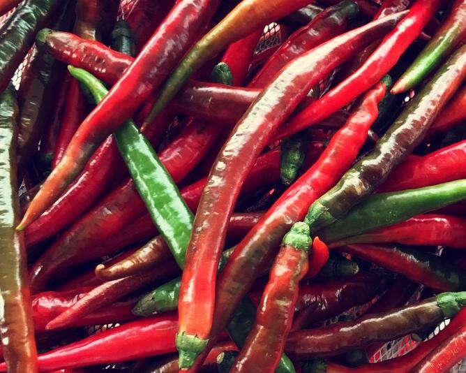 泡红辣椒