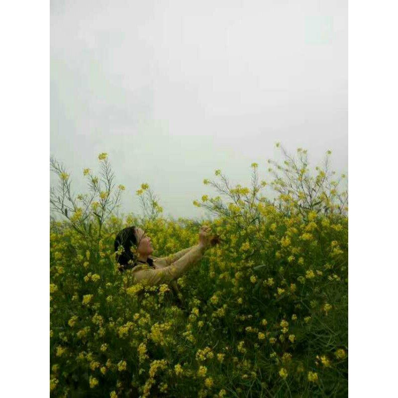 乱花渐欲迷人眼