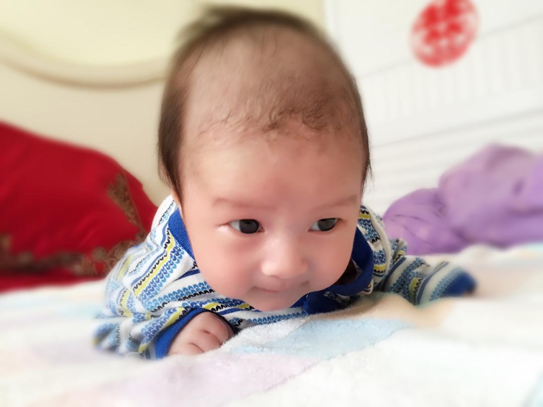 跳跳小王子的日常膳食