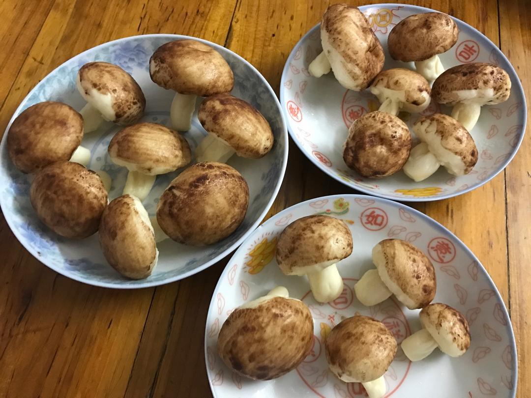 仿真香菇包